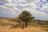 Ethiopia - Ritorno verso Turni - 5